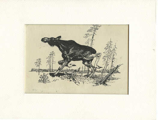 Курдов Валентин Иванович. Лось